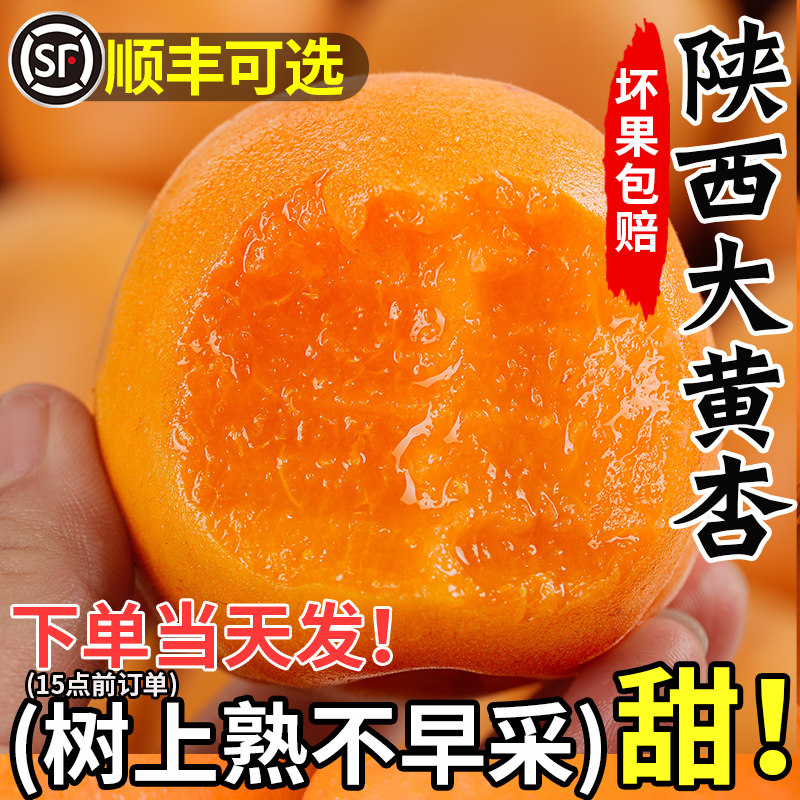 杏子现摘陕西大黄杏现货水果新鲜整箱时令酸甜杏斤凯特孕妇10