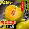主图