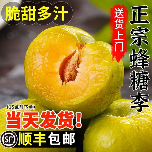 【顺丰包邮】正宗蜂糖李