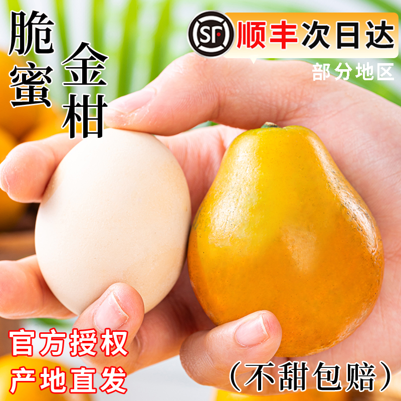 【商超品质】脆蜜金柑5斤大果