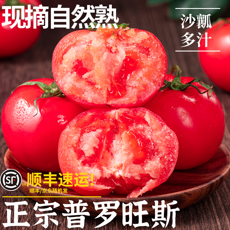 顺丰商超品质·普罗旺斯沙瓤番茄