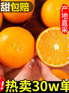 正宗湖南麻阳冰糖橙子新鲜水果当季整箱橙子果冻甜橙纯甜手剥包邮