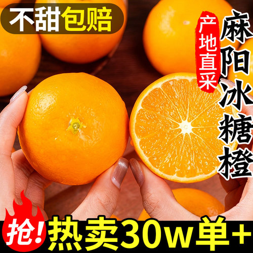 正宗麻阳冰糖橙丨纯甜无酸