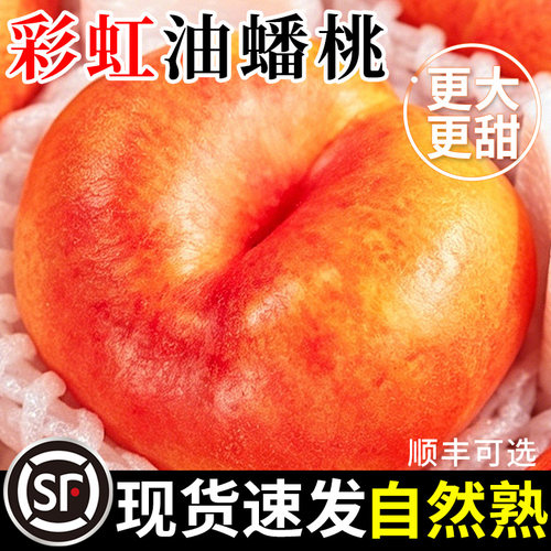 【现货速发】新鲜彩虹油蟠桃5斤