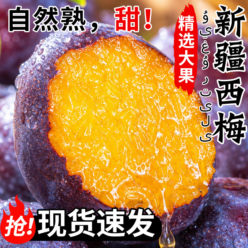 正宗新疆西梅香甜多汁个大饱满