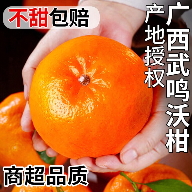 正宗广西武鸣沃柑橘子斤新鲜水果整箱柑橘现摘10沙糖蜜橘砂糖大果