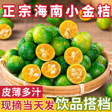 海南金桔奶茶店同款榨汁调味5斤