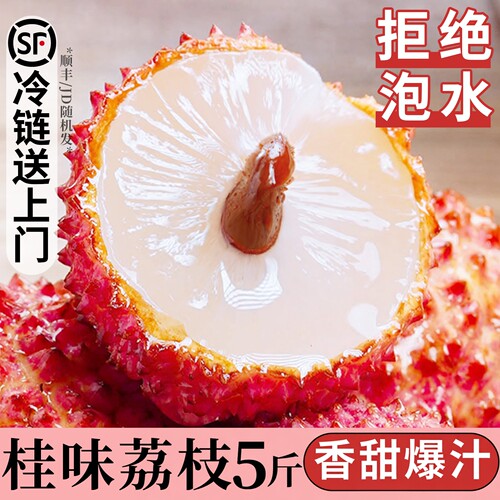 【商超品质】桂味荔枝现摘5斤