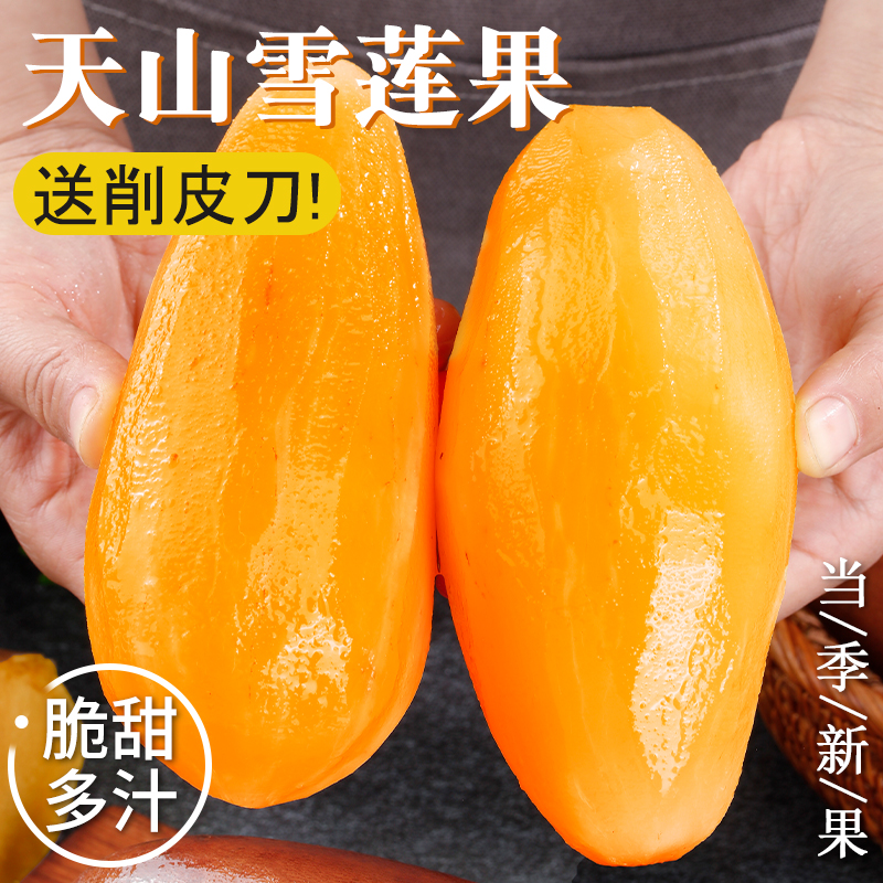 产地直发新鲜天山雪莲果