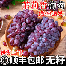 茉莉香葡萄提子新鲜无籽整箱批发水果当季现摘脆甜薄皮包邮