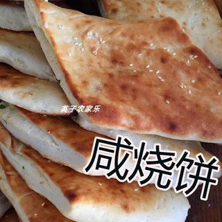 苏北盐城滨海阜宁响水特产潮牌咸潮牌香葱潮牌饼10个装