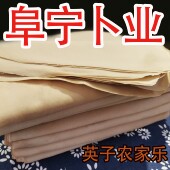 卜业苏北盐阜土特产盐城阜宁特产卜页百页豆制品现做500克