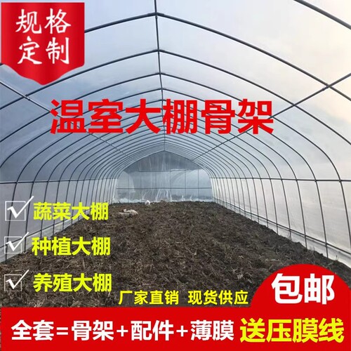 插地焊接蔬菜养殖联动肩并肩棚