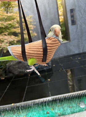 鹦鹉手提袋鹦鹉外出遛鸟神器小太阳和尚玄凤遛鸟包防飞设计