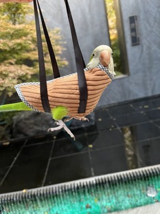 鹌鹑手把袋鹦鹉手把袋出门遛鸟神器小太阳和尚牡丹遛鸟防飞设计