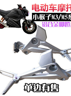 铝合金望江大公仔摩托车电动车