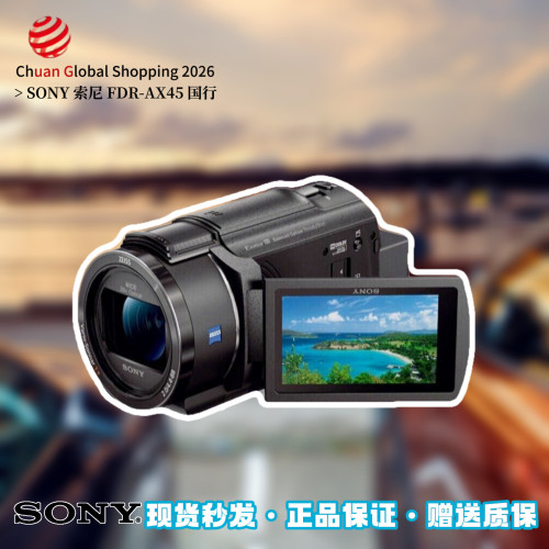【官方正品】Sony索尼FDR-AX45