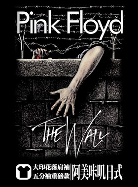 平克佛洛依德pinkfloyd街头落肩重磅宽松摇滚五分袖oversizeT恤男