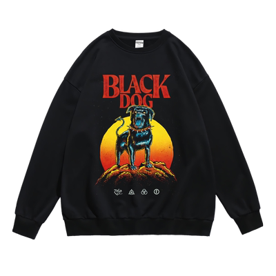 齐柏林飞艇印花卫衣男春秋