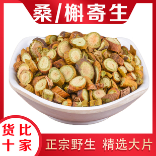 桑寄生中药材500g克野生槲寄生解寄生新货桑寄生茶桑吉生桑奇生