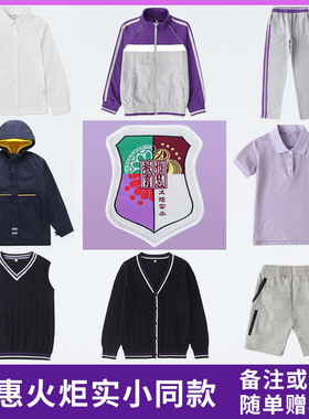 绵阳市高新区火炬实验小学校服紫色运动服藏青冲锋衣套装雅慧教育