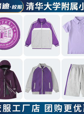 校服套装现货学生深紫色运动服短袖T恤衬衣附小棒球服小学冲锋衣