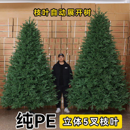 Cross border Christmas tree, large pure PE encrypted high-e