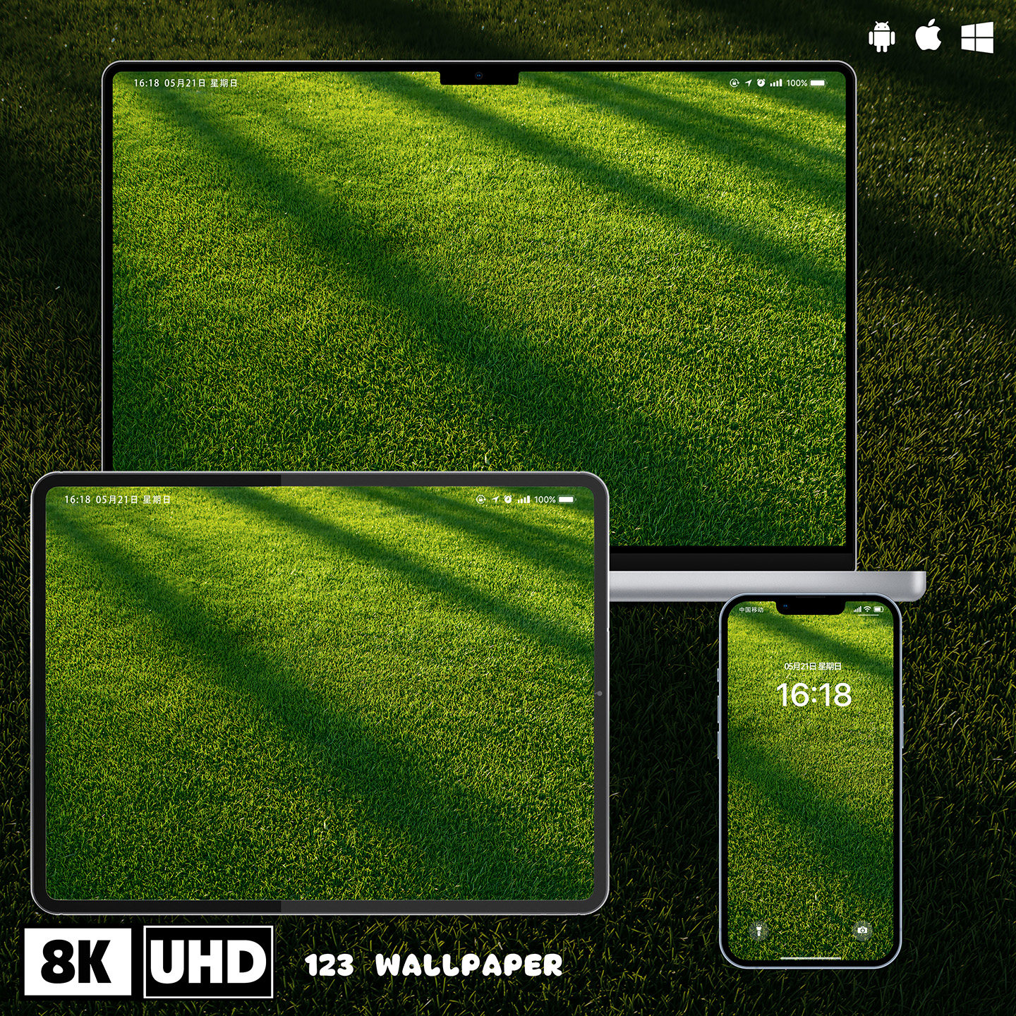 阳光草坪光影特写8K超清壁纸iphone苹果安卓手机电脑ipad平板壁纸,商务/设计服务,卡通/动漫/插画设计,淘宝优惠券,粉丝福利购,淘宝优惠卷