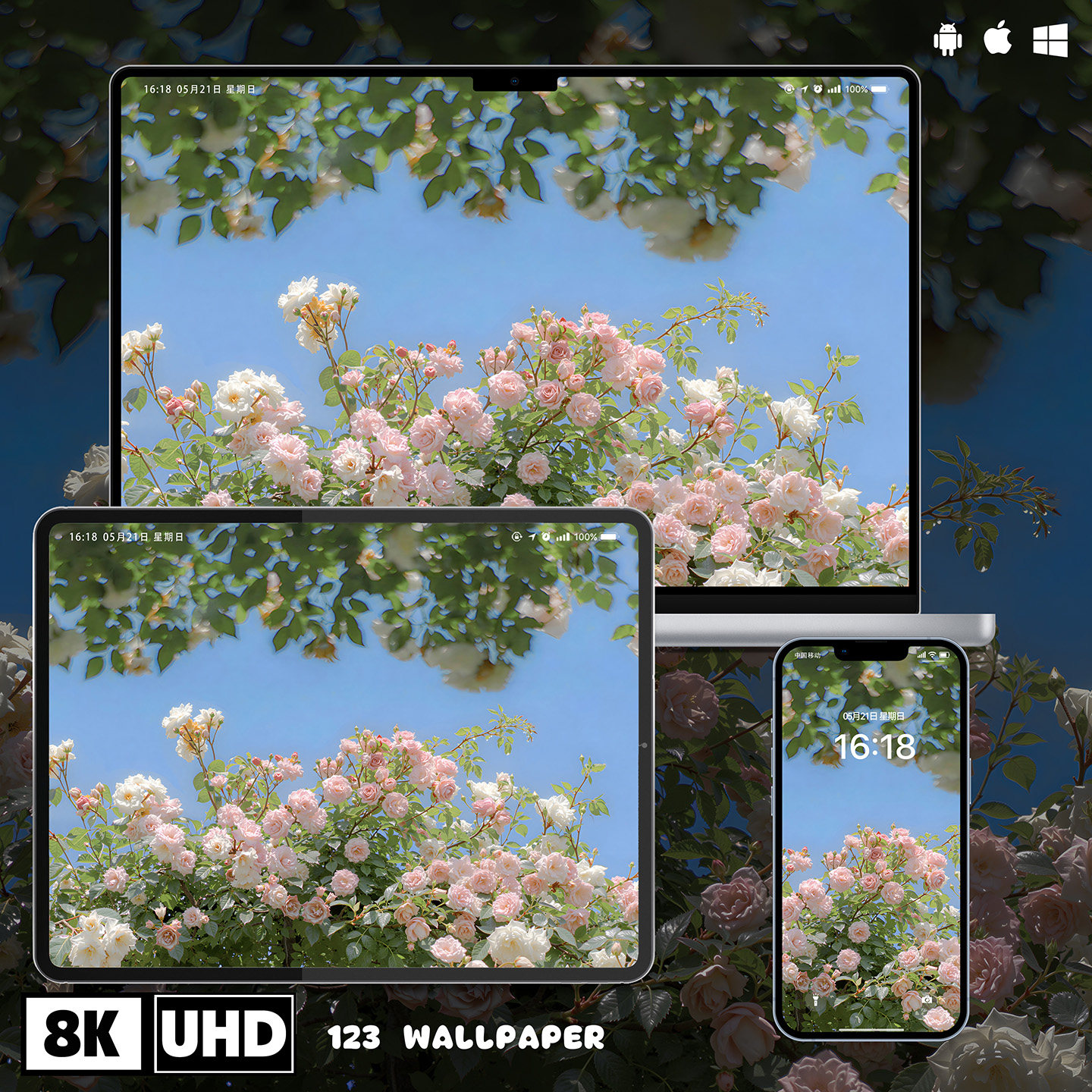 蓝天粉白玫瑰簇治愈超清壁纸iphone苹果安卓手机电脑ipad平板壁纸,商务/设计服务,卡通/动漫/插画设计,淘宝优惠券,粉丝福利购,淘宝优惠卷