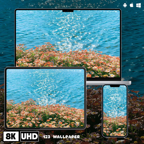 海边雏菊簇蓝水阳光超清壁纸iphone苹果安卓手机电脑ipad平板壁纸