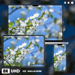 春日梨花清新治愈8K超清壁纸iphone苹果安卓手机电脑ipad平板壁纸