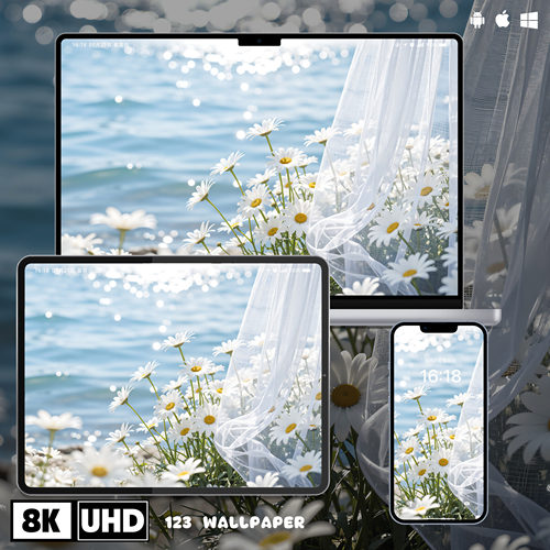 夏日海边白雏菊薄纱超清壁纸iphone苹果安卓手机电脑ipad平板壁纸