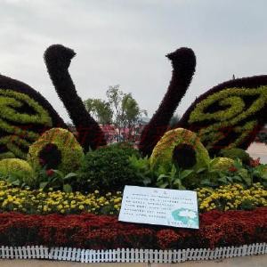 仿真户外立体植物元宵节