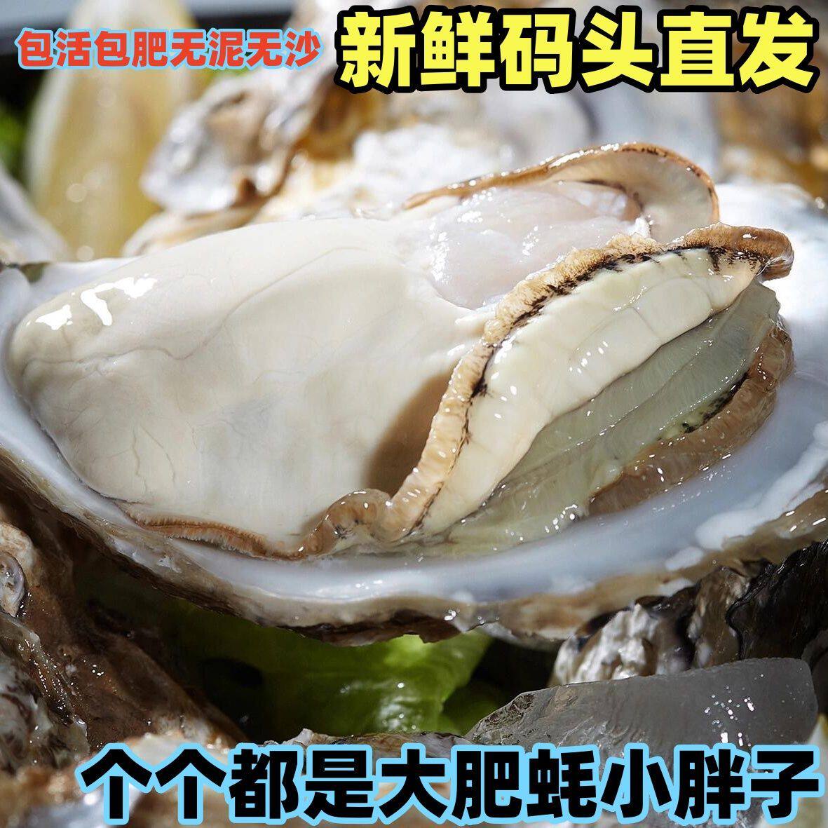 生蚝鲜活个个小胖子超肥带壳海蛎生蚝