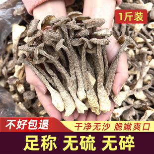 2025新货农家优质鹿茸菇干货非特级一级脆脆菇蘑菇食用菌煲汤食材