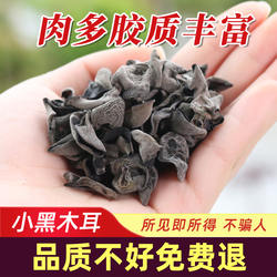 正宗井冈山黑木耳干货非特级野生干木耳肉厚小碗耳秋耳食用菌特产