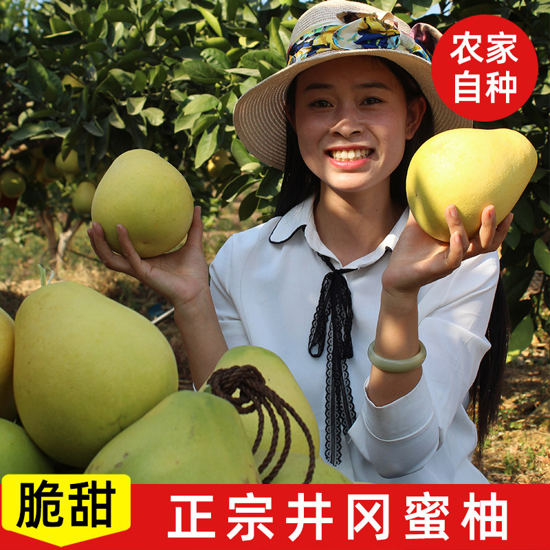 正宗江西井冈蜜柚金兰柚吉水安福柚白心纯甜柚子新鲜当季时令水果