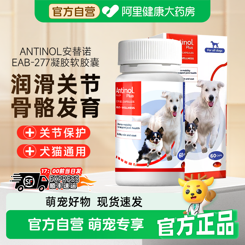 安替诺Antinol277髌骨脱位软骨素猫狗宠物关节强炎腰椎骨刺安它诺