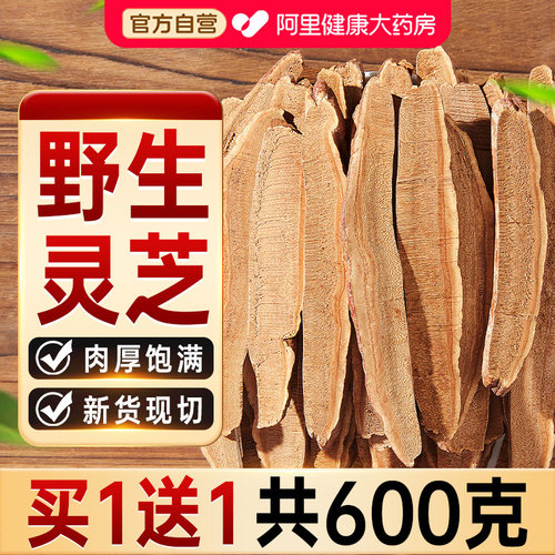 长白山灵芝片切片泡水