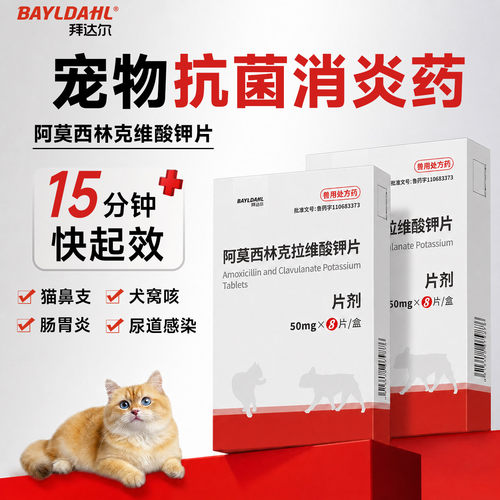 拜达尔猫狗抗菌抗炎药