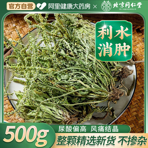 北京同仁堂车前草中草药材猫爪草新货干货正品500g夏枯草泡茶水喝