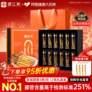 源江草冬虫夏草官方旗舰店10克断虫草50克断草礼盒送礼 年货节