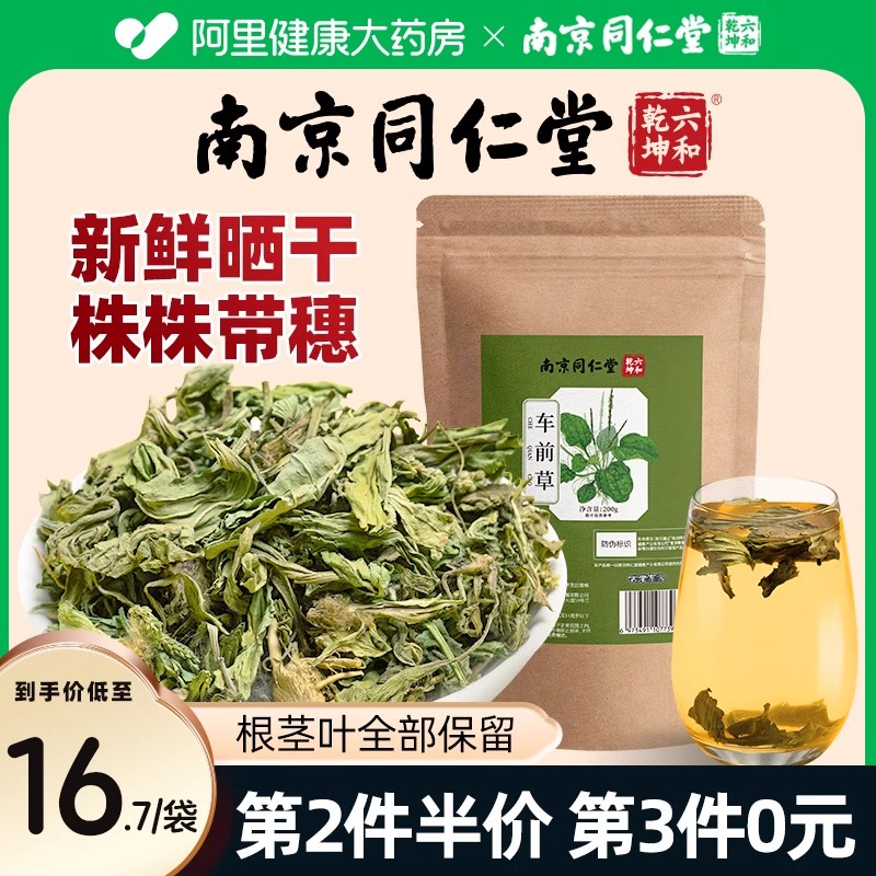 南京同仁堂车前草干货野生新鲜中葯材平车前非尿痠高袋泡茶凉茶降 传统滋补营养品 其他药食同源食品 原图主图