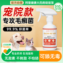 猫藓喷剂外用非药猫咪狗狗藓真菌感染皮肤病喷剂宠物掉毛专用喷雾