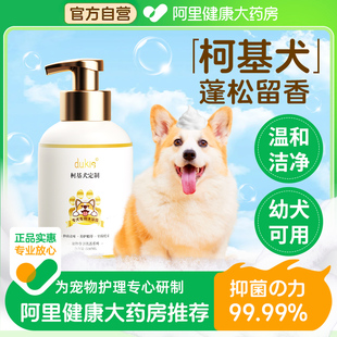 柯基专用狗狗沐浴露宠物幼犬香波小狗洗澡除臭止痒浴液狗子沐浴乳