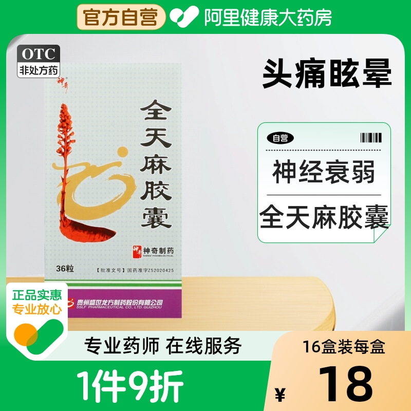 【自营】【神奇】全天麻胶囊0.5g*36粒/盒手麻|脚麻|头痛|眩晕|肢体麻木