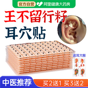 王不留行籽耳穴贴中医理疗穴位耳贴耳豆防敏磁珠模型压力刺激贴