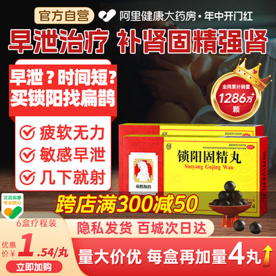 【向前】锁阳固精丸9g*10丸/盒温肾固精早泄遗精腰酸