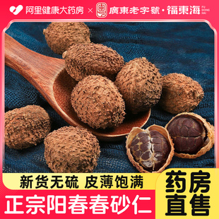 国补 福东海春砂仁正宗阳春特产春砂仁香料中根药材泡茶酒旗舰店