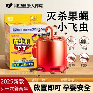 室内去除小飞虫克星果苍蝇诱捕器蟑螂诱胶饵盒一锅端灭杀神器虫剂